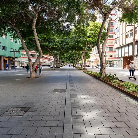 Vivelorural Amazing Flat Mesa Y Lopez Apartment Las Palmas de Gran Canaria